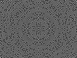 Reaction Diffusion Pattern In 2020 Patterns In Nature Typography Poster Generative Design