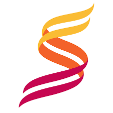 Download Shannon Airport Logo Letter S Logos Types