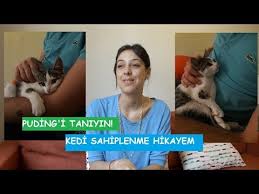 Barinaklardan Nasil Hayvan Sahiplenilir Youtube