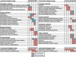 Electrodiagnosis Of Radiculopathy Sciencedirect