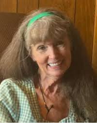 Susan Hitesman McDonald Obituary (2024)