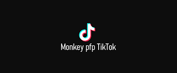 Part of a series on tiktok. Monkey Pfp Tiktok Neuester Monkey Tiktok Meme Trend Erklart Xperimentalhamid
