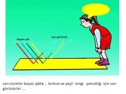 Sarı ışıkta makyaj yapmak daha mı zorlasır? Cisimleri Renkli Nasil Goruruz Ppt Indir