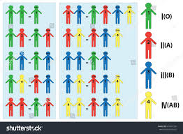 parents blood type chart lamasa jasonkellyphoto co