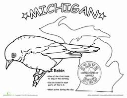 Birds Native To Michigan Michigan State Bird Worksheet Education Com State Birds Michigan Coloring Pages