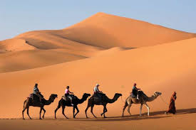 Things to do near sahara desert. 10 Interesting Facts About The Sahara Desert Sahara Desert Journey To Egypt