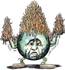 Crecimiento Poblacional - EcologiaJA