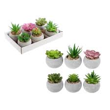Succulents are a minimalist nature lover's best friend. Small Green Plastic Artificial Succulent Plants In Round Concrete Pot 1 Randomized Style Per Pack