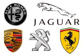 Check spelling or type a new query. 7 Logos De Coches Con Animales Autocasion
