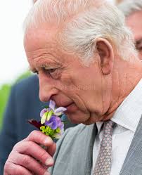 You're looking even more handsome than you do