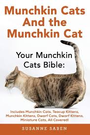 Very interesting which famous christian characters don't make it into the top 50 bible characters, and yet do make it on the top 20 characters in the quran. Munchkin Cats And The Munchkin Cat Your Munchkin Cats Bible Includes Munchkin Cats Teacup Kittens Munchkin Kittens Dwarf Cats Dwarf Kittens And Miniature Cats All Covered Saben Susanne 9781911355007 Amazon Com Books