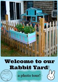 Check spelling or type a new query. Photo Tour Of Our Rabbit Yard