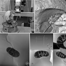 We did not find results for: A One Half Of The Broken Part Upper Cretaceous Gaudryceras Sp Fig Download Scientific Diagram
