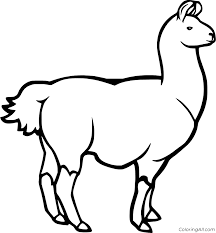 Take a look at this collection of fat tuesday table skirts and. Llama Coloring Pages Coloringall