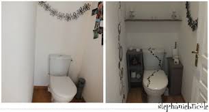 Quelle peinture pour les wc ? Tuto Diy Idees Pour Decorer Les Wc Defi Deco Stephanie Bricole