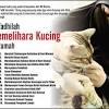 Allah telah menciptakan mata kucing dengan pengaturan dan letak yang sesuai dengan makhluknya. Https Encrypted Tbn0 Gstatic Com Images Q Tbn And9gcqwjcisn5lhpwf9xcsfwjaek Rech0mzql 12wnzk7qty3pkl6h Usqp Cau