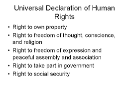 Human Rights And Womens Rights A Brief History