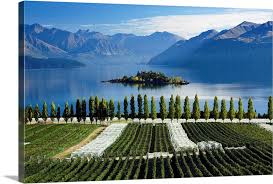 New Zealand South Island Central Otago Rippon Vineyards And Lake Wanaka In 2020 Lake Wanaka Wanaka Otago