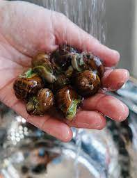 But what i'm talking about are single encounter experiences that leave you changed. How To Harvest And Cook Snails From The Garden Edible Communities