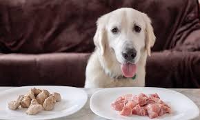 Maybe you would like to learn more about one of these? Can Dog Get Sick From Eating Raw Meat Dog Guide Reviews