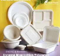 Embrace Sustainability with Strong Eco-Friendly Sugarcane ...
