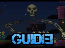 In our terraria 1.4 expert summoner guide, we take down expert skeletron and set up many vital structures and farms before we. Terraria How To Kill Skeletron Pre Hardmode Guide Youtube