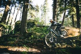 The Bike Shed: Power up, with our e-mountain bike guide - Australian  Geographic