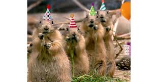 2) 19 hilariously funny happy birthday meme. Prairie Dog Birthday Song Video Ecard Personalize Lyrics American Greetings