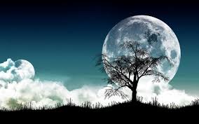 Nature wallpaper hd desktop free download. Pc Wallpapers Top Free Pc Backgrounds Wallpaperaccess