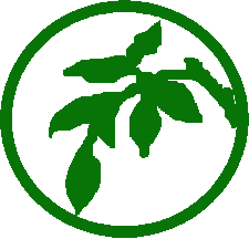Pete's tree service provides expert pruning of trees ans shrubs in monmouth and ocean counties. Pete S Tree Service Freehold Nj