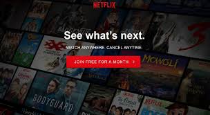 Here's the breakdown of all netflix subscription. Netflix Raises Prices For Standard Plan