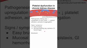Image result for Platelet Dysfunction