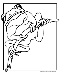 Discover thanksgiving coloring pages that include fun images of turkeys, pilgrims, and food that your kids will love to color. Tree Frog Coloring Page Coloring Home