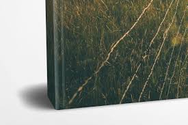 Download 9 X 7 Landscape Paperback Book Mockup Covervault