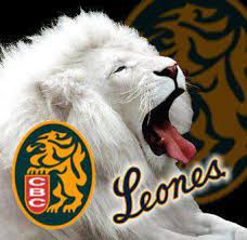 We did not find results for: Leones Del Caracas De La Lvbp Home Facebook