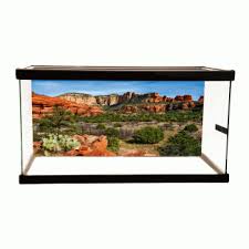 Image result for Terrarium Cling Background