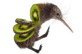 Some Thoughts About The Kiwi Seeking Alpha Memes Animal Memes Cursed Images