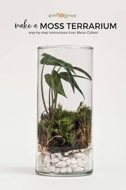 Creating A Moss Terrarium Garden For Gorgeous Green Indoor Decor Moss Terrarium Terrarium Small Terrarium