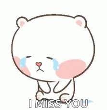 Imiss You Bear Gif Imissyou Bear Crying Discover Share Gifs Bear Gif Cute Gif Cute Cat Gif