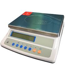 Portata kg 30 scala g 1. Bilancia Di Precisione Professionale 3 Kg Socepi