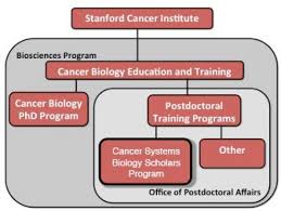 About Cancer Systems Biology Scholars Csbs Program