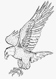 They are successful hunters that suddenly attack their victims from the sky. Coloring Pages Eagle Head Coloring Pages