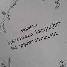 Gidersen Yikilir Bu Kent Kuslar Da Olur Bir Tufan Olurum Sustugun Her Yerde Ahmet Telli Edebiyat Ve Siir