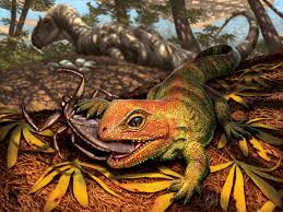 Image result for Empogona sp. A