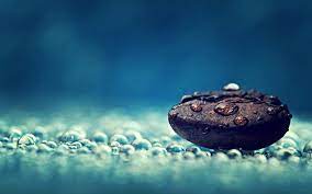 Water Drops Relaxation Coffee Beans Macro Relaxing Hd Wallpapers Desktop Backgrounds Mobile Macro Photography Wallpaper Rain And Coffee Photography Wallpaper