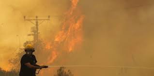 Danach bricht ein großes feuer aus, läden und autos stehen in flammen. Feuer Auf Dem Carmelgebirge Die Turkei Hilft Israel Taz De