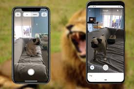 Si te gustan los animales en general o tienes un mascota en casa, los fondos de pantalla con animales son la opción ideal para ti. Como Ver Los Animales 3d De Google En Iphone Y Android Leones Tiburones Y Tigres A Traves De La Camara
