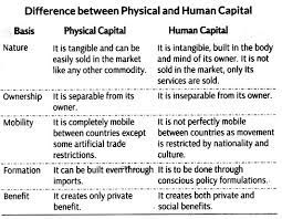 Human Capital Formation In India Class 11 Notes Chapter 6 Indian Economic Development Learn Cbse