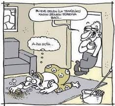Hizmetci Olmakta Cok Zor Is Kardesim Evin Pisligi Ile Ugrasmak Yetmiyor Birde Bekarlari Ile Ugrasmak Var Funny Comics Cartoon