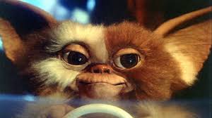Only the best hd background pictures. 73 Gizmo Gremlins Wallpaper On Wallpapersafari